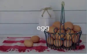 Food Flashcards